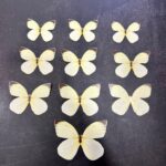 10Pcs set  Paper Butterfly Cake decorations -Light Yellow/black shade
