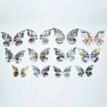 Christmas theme Paper Butterfly 12 pcs